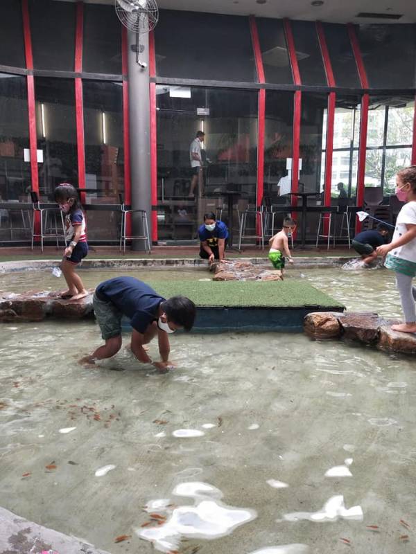 新加坡國民娛樂項目，養生釣蝦約不約？！盤點新加坡好玩的釣蝦場，周末走起吧