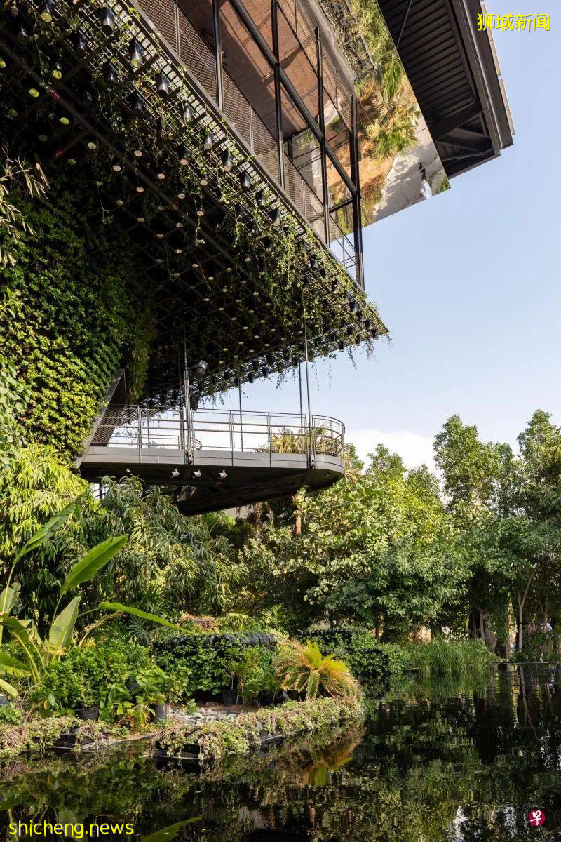 “小红点”新加坡在迪拜沙漠创造了一座小绿洲，进去感受一下吧