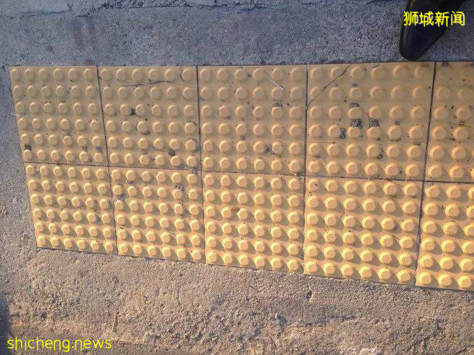 這樣的新加坡真是待不下！去！了