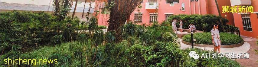 新加坡国家初级学院(NJC)简介