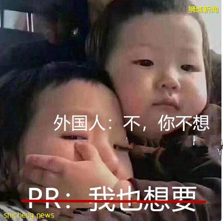 新加坡連續漲價10個月!網友:吃不起菜,買不起房