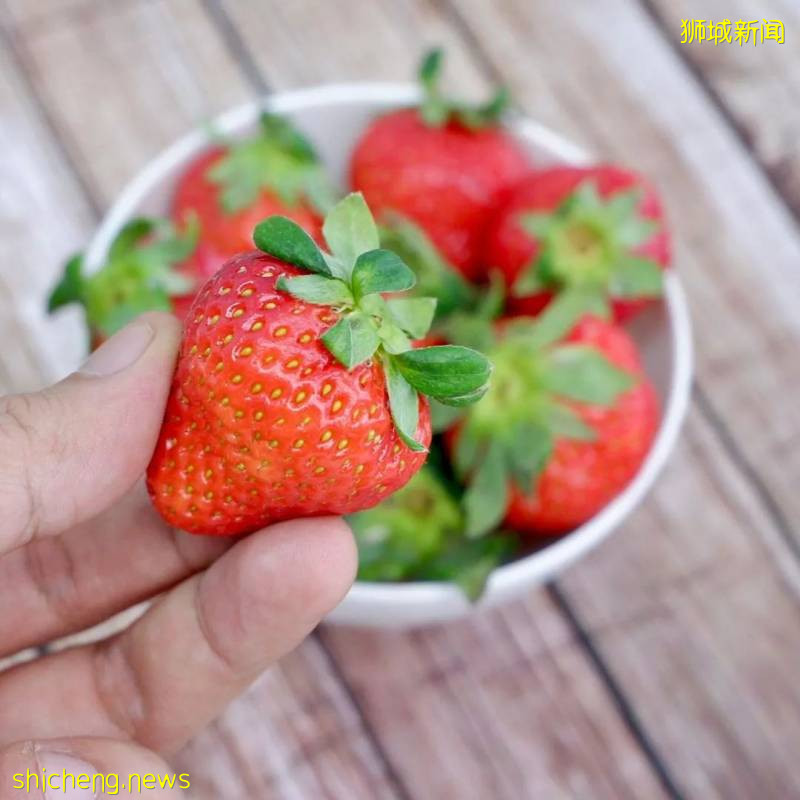 這麽多年在獅城逛超市，難道我都白逛了嗎