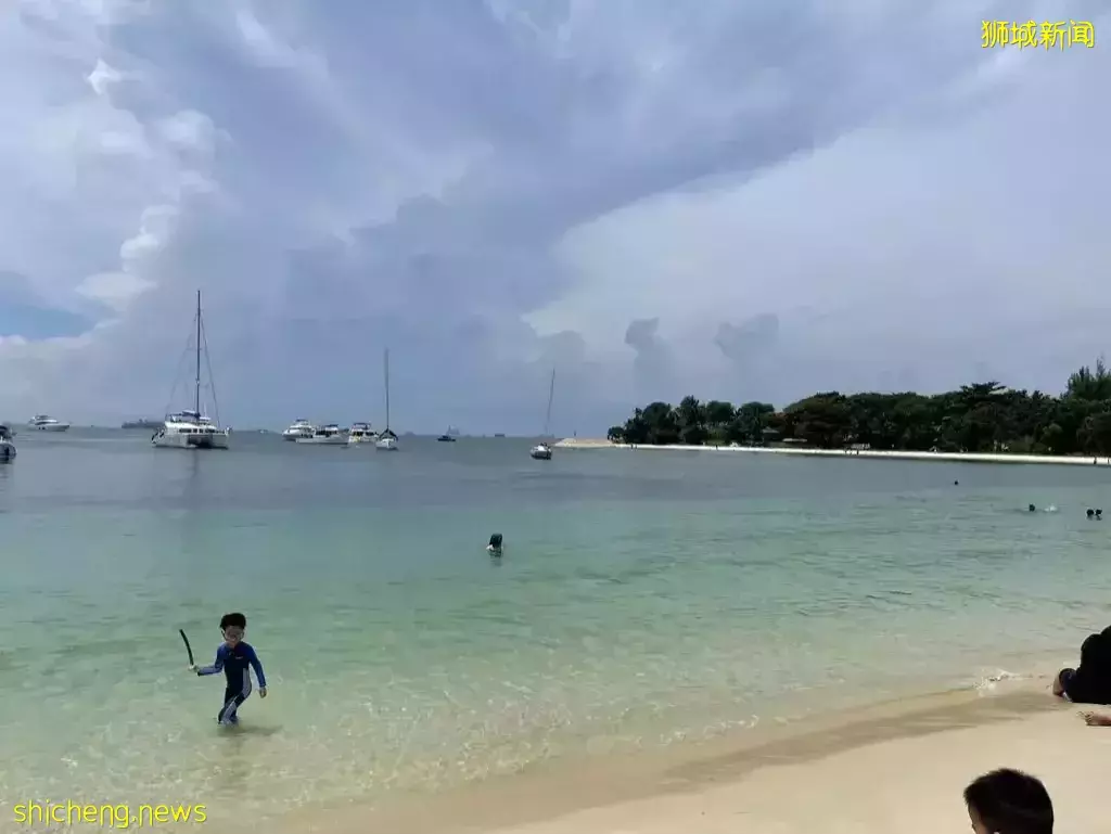 半小時就能到達的人間仙境!新加坡“小馬代”美出天際