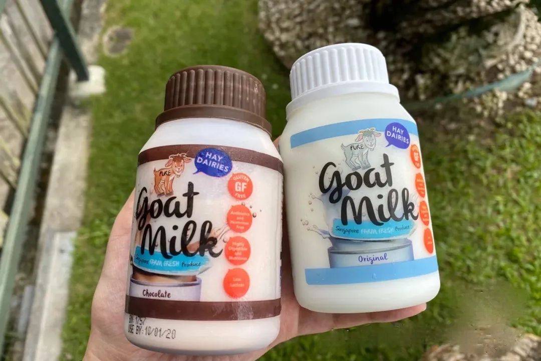 新加坡有機農場牧場？還能和羊咩咩親密接觸