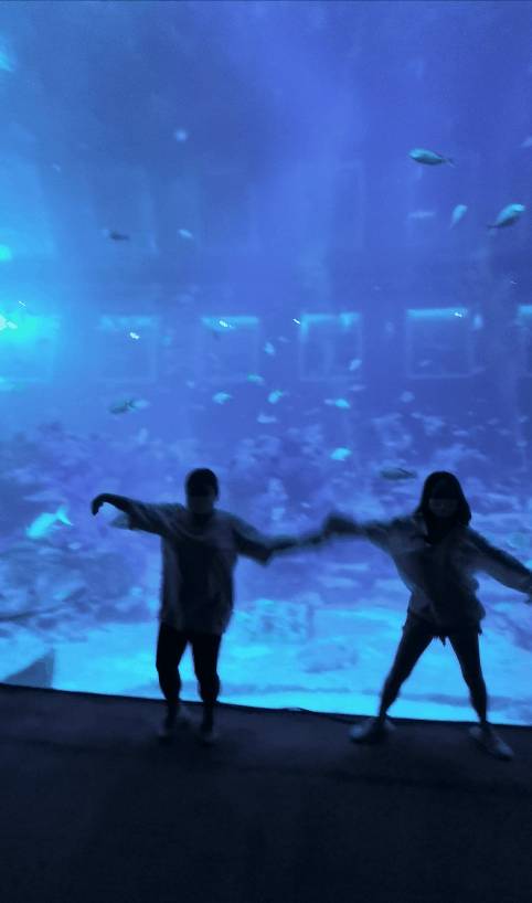 過年必玩!海洋館尋金元寶,環球影城12生肖小黃人激萌拜年