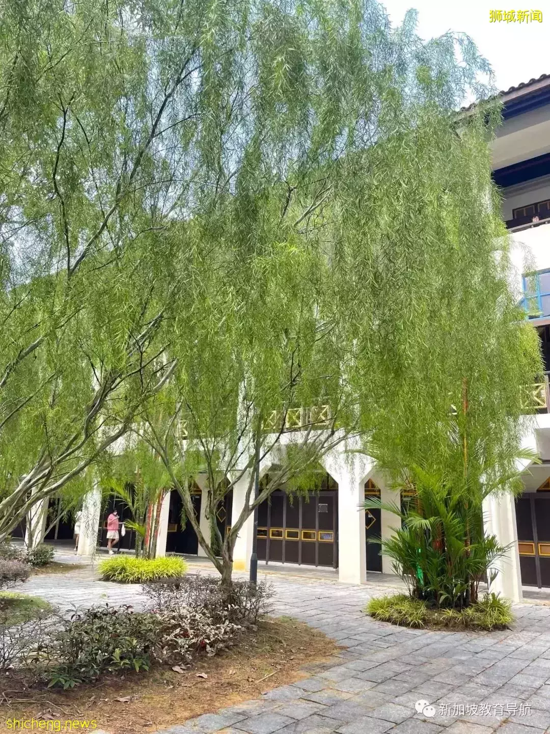 新加坡探校系列初院篇【1】——華僑中學Hwa Chong Institution