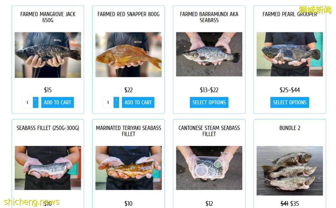 最全整理!新加坡9家订海鲜网站,甜虾、生蚝、海胆、日本扇贝