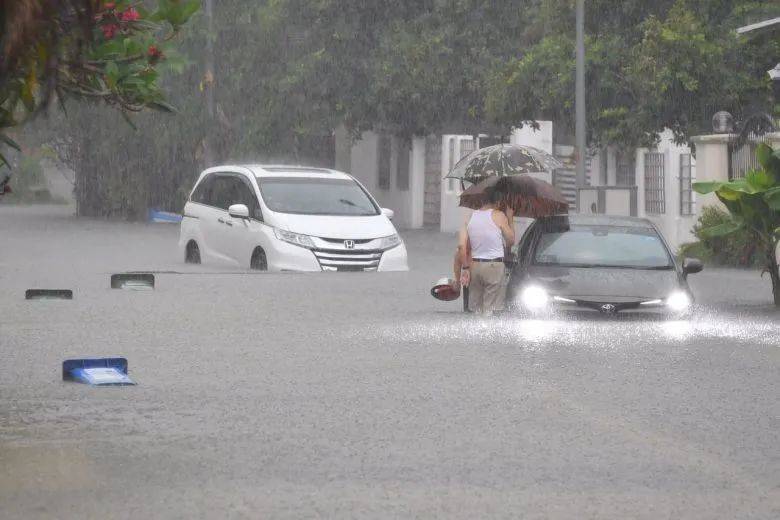 新加坡突降暴雨，全島多處淹水，大樹被連根拔起！網友：住7樓都被淹了