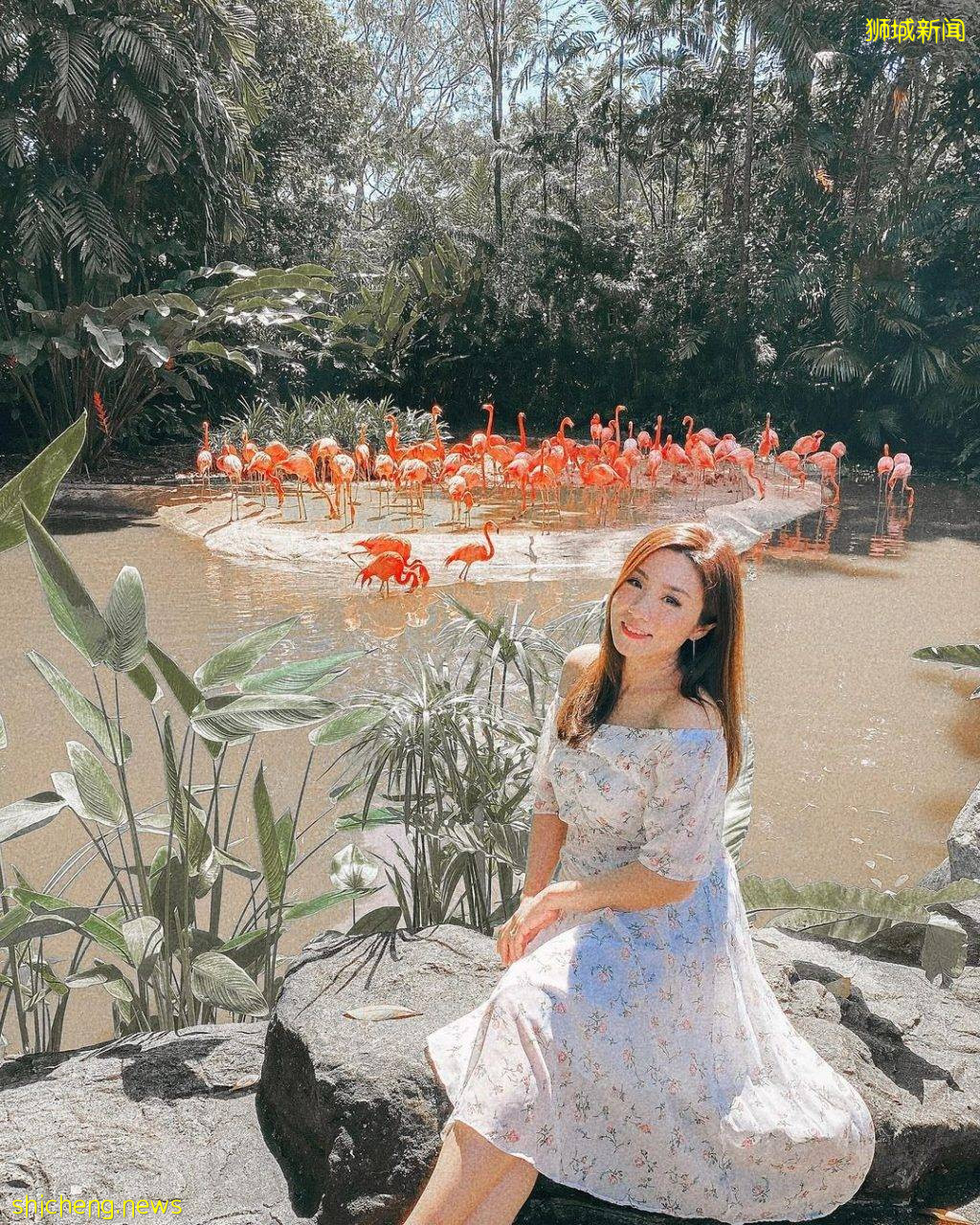 攻略收好、出發開啓親近動物之旅🦩從白天玩到晚上、10大景點近距離接觸小動物