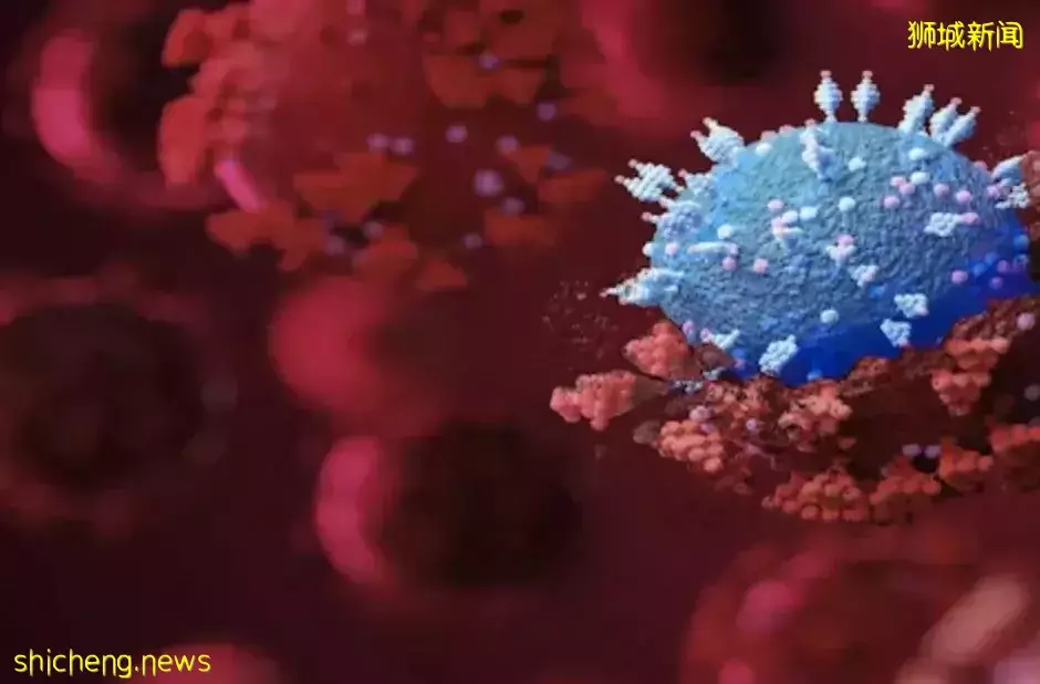 新加坡總統部長確診！病毒再變異BA.2.75！“沒感染就像異類”