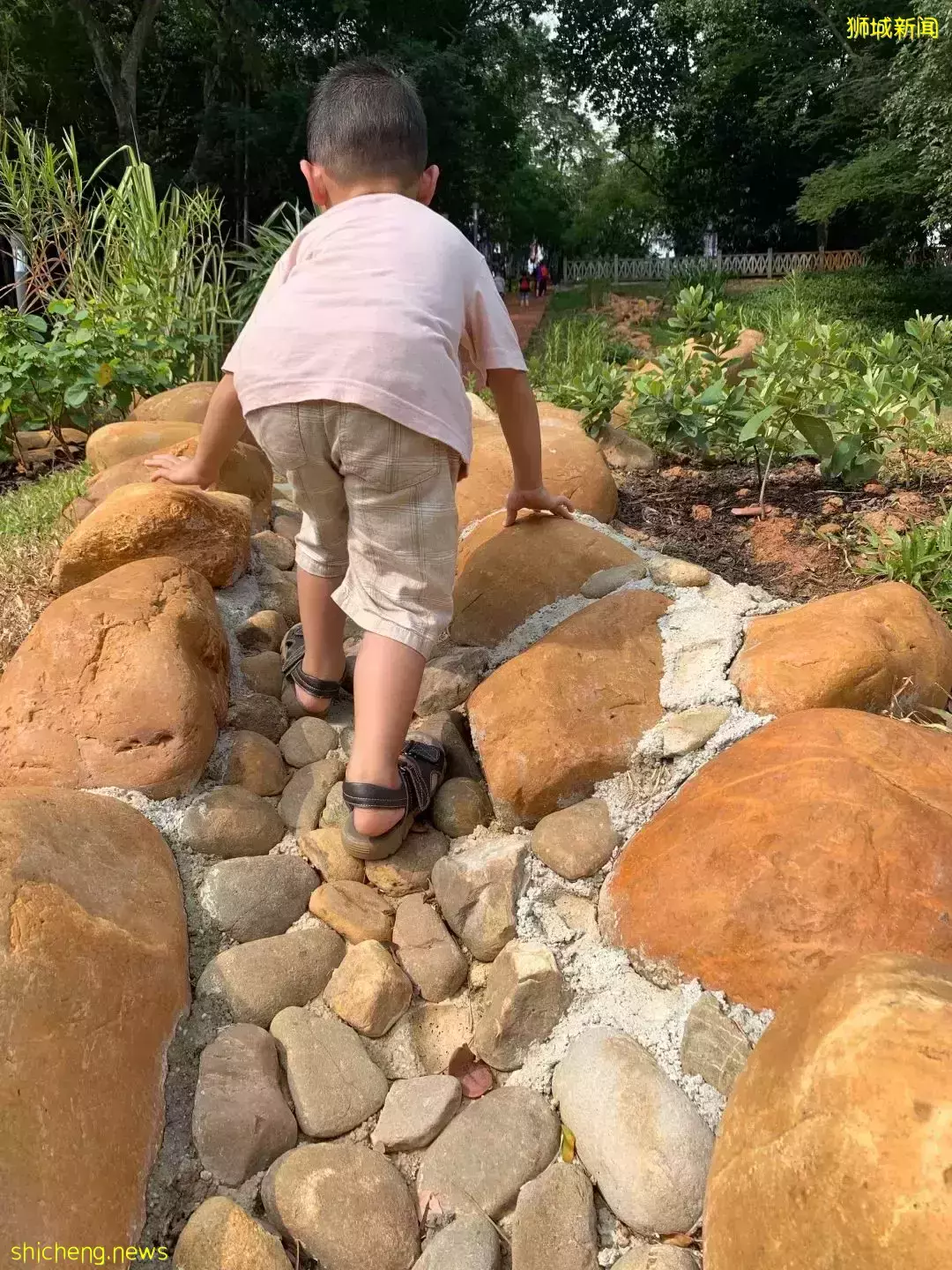 INS最火爆的新加坡公園,竟然還藏著一個超好玩的兒童遊樂場