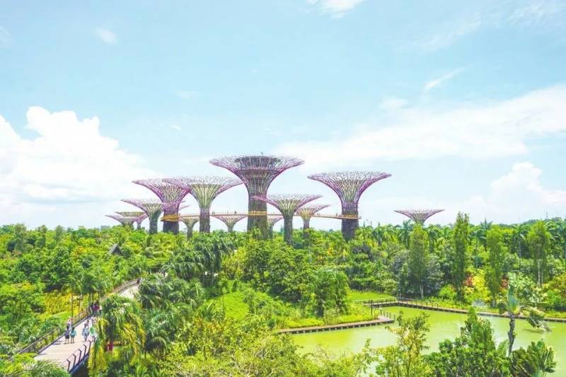 不负好春光，在新加坡开启一场寻“绿”之旅