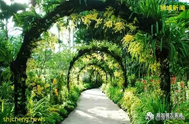 住在新加坡的頂層豪宅公寓是什麽體驗,網友:人均富豪的既視感