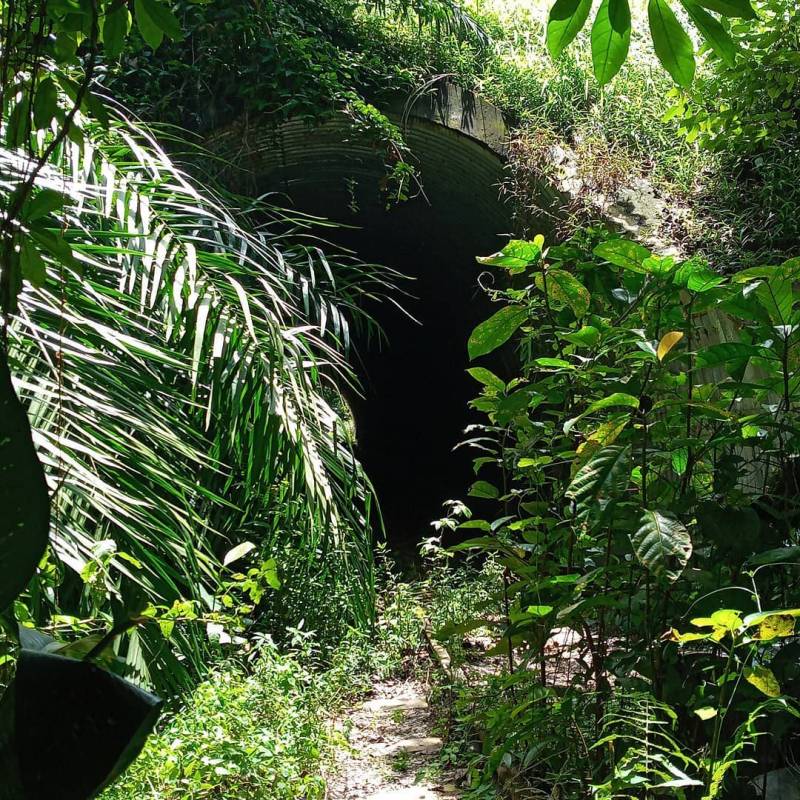 🚥通往裕廊的廢棄鐵路🚞 新加坡隱秘的角落,徒步探險、攝影愛好者秘密基地 🧭