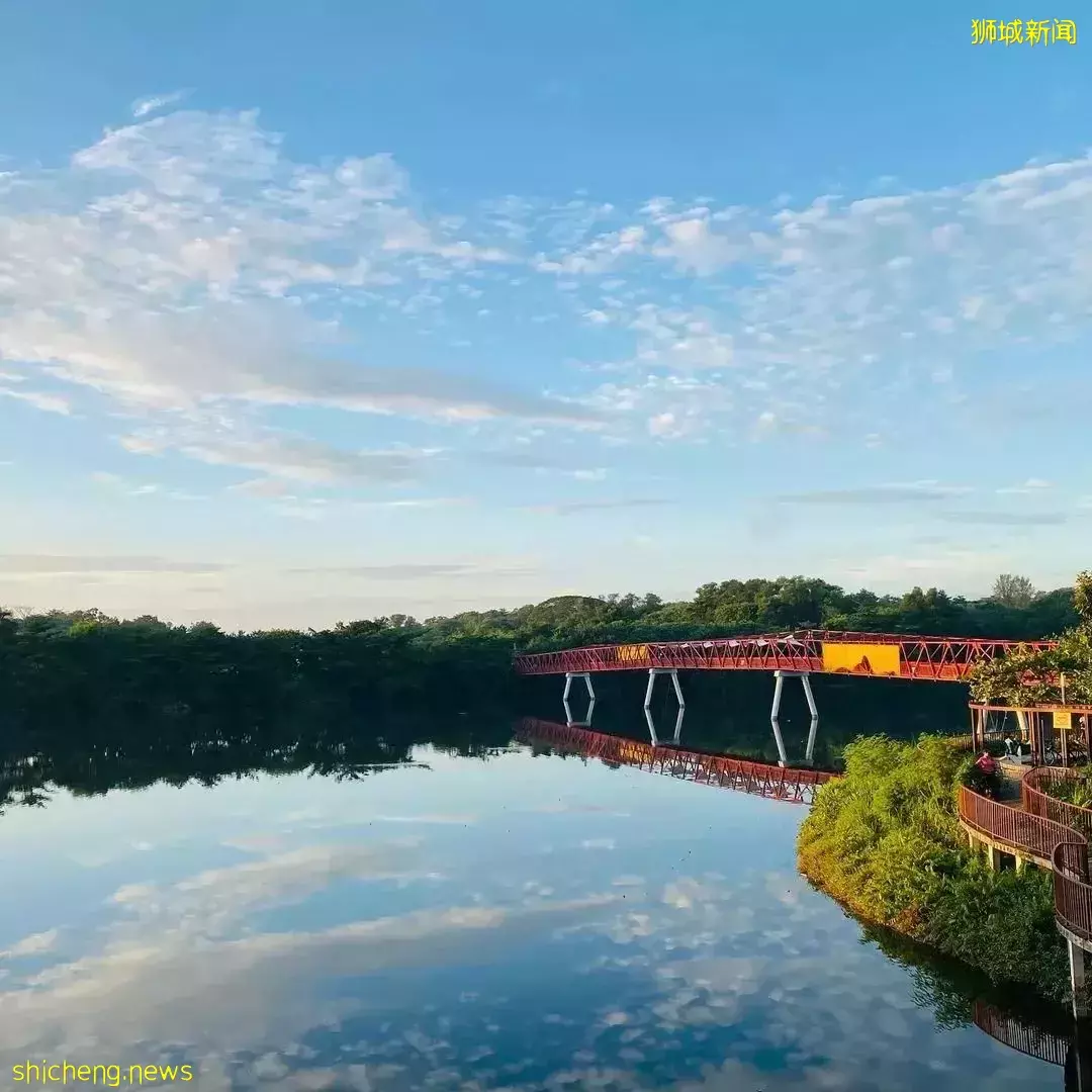 秒出大片!新加坡超火网红打卡景点,一秒穿越到国外