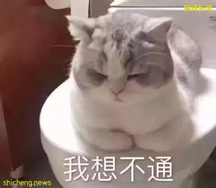 天啦噜！新加坡雞和魚都沒了，我們吃什麽