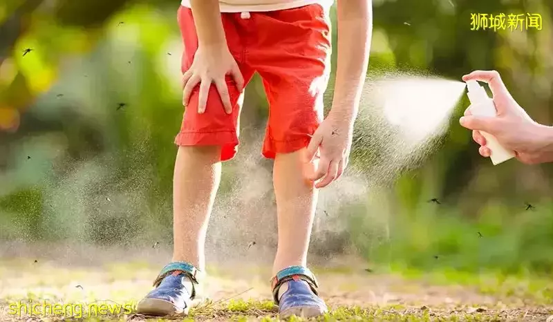 新加坡骨痛热症已近5500例!预防措施有哪些