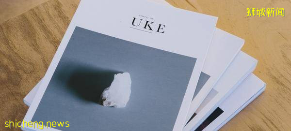 狮城攻略：在新加坡如何办理无犯罪证明