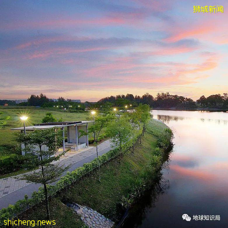 你知道新加坡爲什麽還被稱爲海綿城市嗎