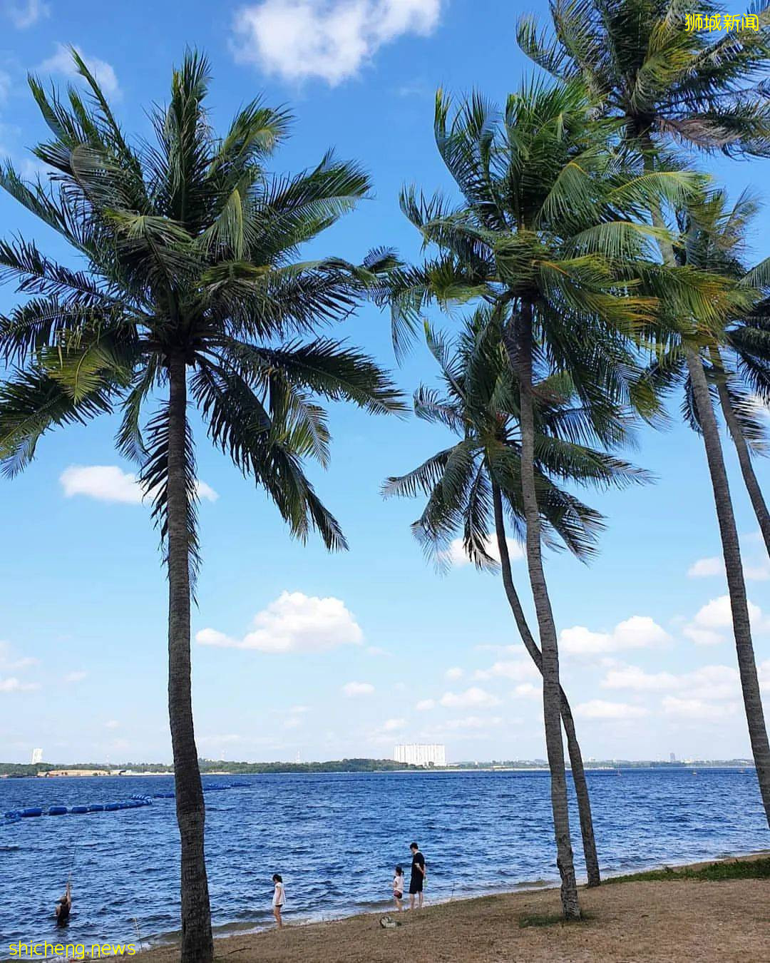 新加坡超棒的4個海灘，遛娃、放風筝、趕海、品美食