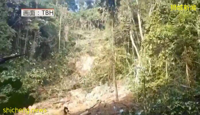 太嚇人了！新加坡被大雨淋到山體滑坡，20年來屬首次