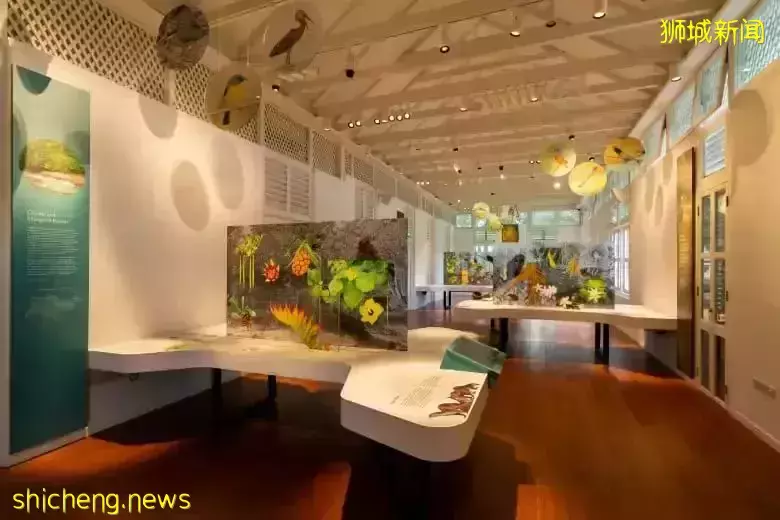 免費！新加坡排名第一的“家庭遊樂場”，竟然有這麽多項目我還沒玩過