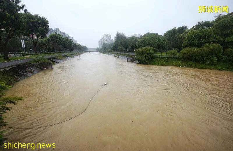 去不了威尼斯?新加坡多地今早成“水乡泽国”