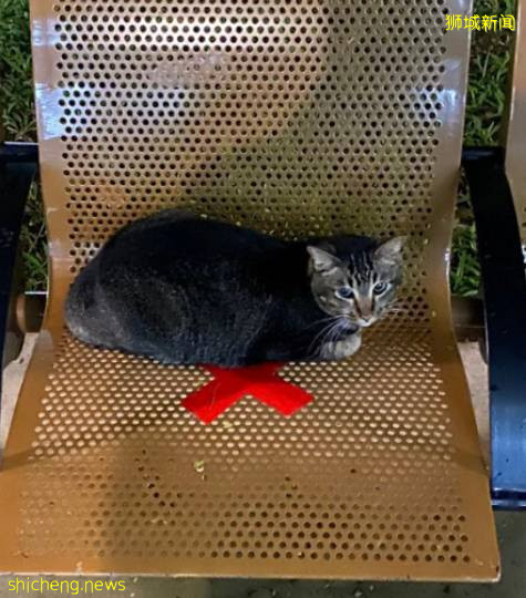 解封後，新加坡有“一對情侶”在馬路上沒戴口罩，公然擁抱!