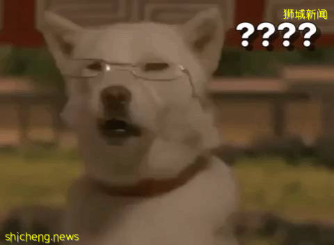 後疫情時代，網友爲了在外面吃飯也是拼了，獅城的你該如何做呢!