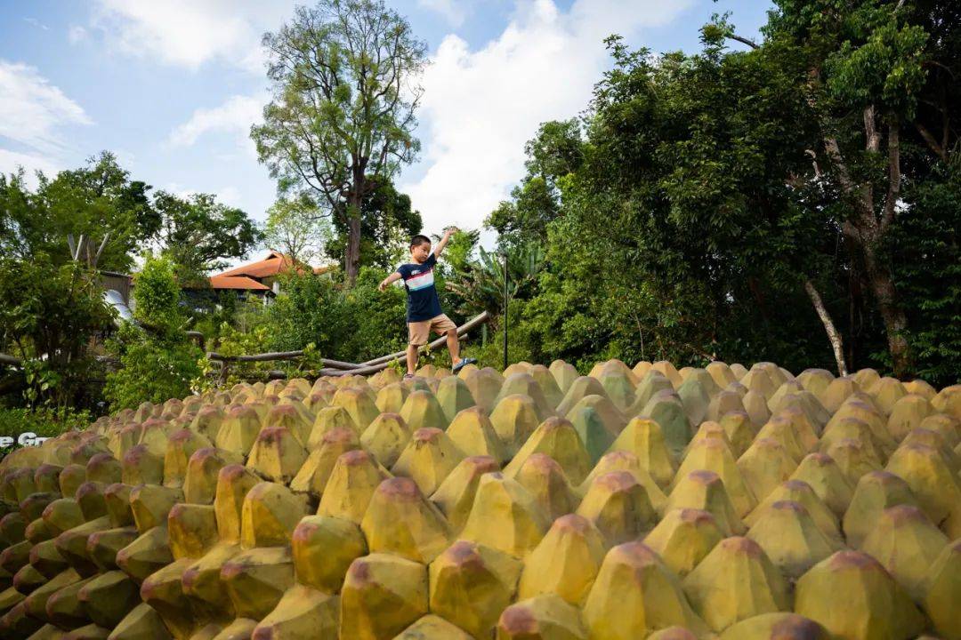新加坡植物園3月最新兒童樂園,你肯定沒去過!16大遊玩攻略,走起