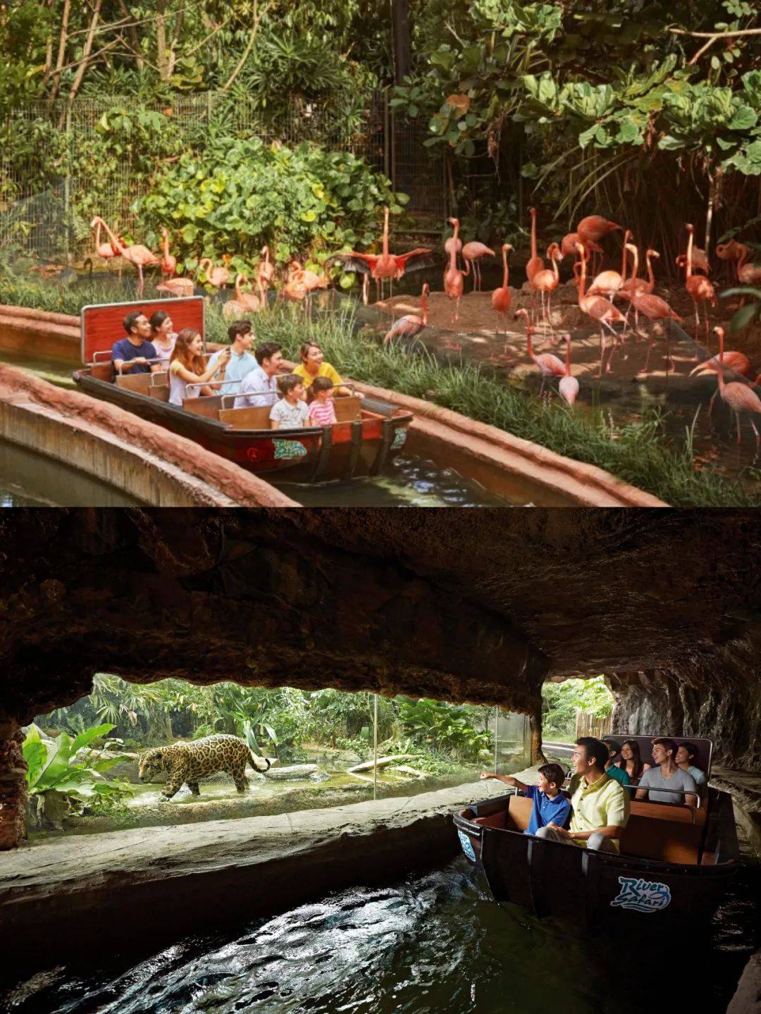 国宝级的客人出席你的新年午宴,有没有猜到是谁来了