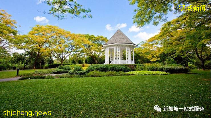 最美麗的自然風光: 新加坡植物園!