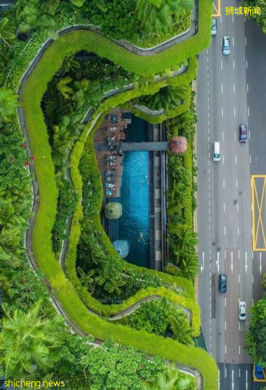 刷屏!新加坡昨天出现绝美彩虹,副总理也忍不住转发!