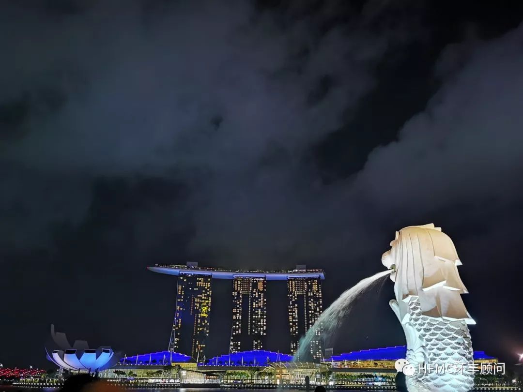 新加坡法律意见书