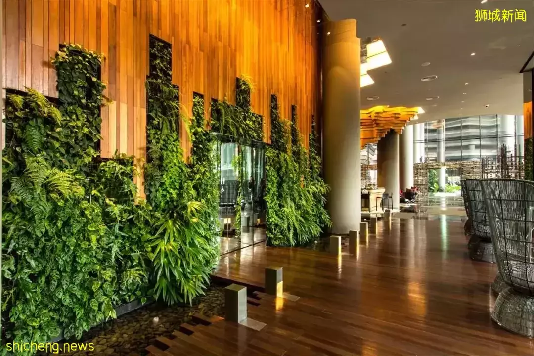 新加坡皮克林賓樂雅花園酒店 / Tierra Design (S) Pte Ltd