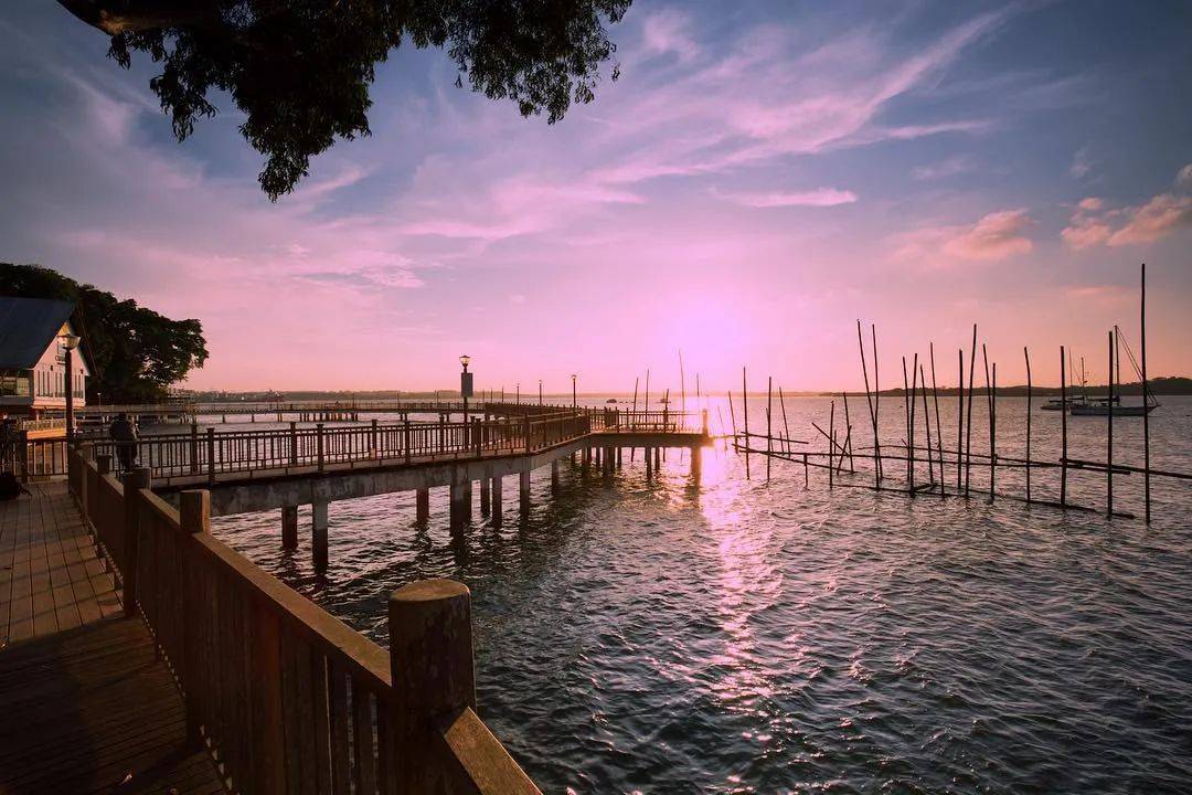 爆赞!新加坡10条最美巴士线路,花最少的钱玩遍全岛