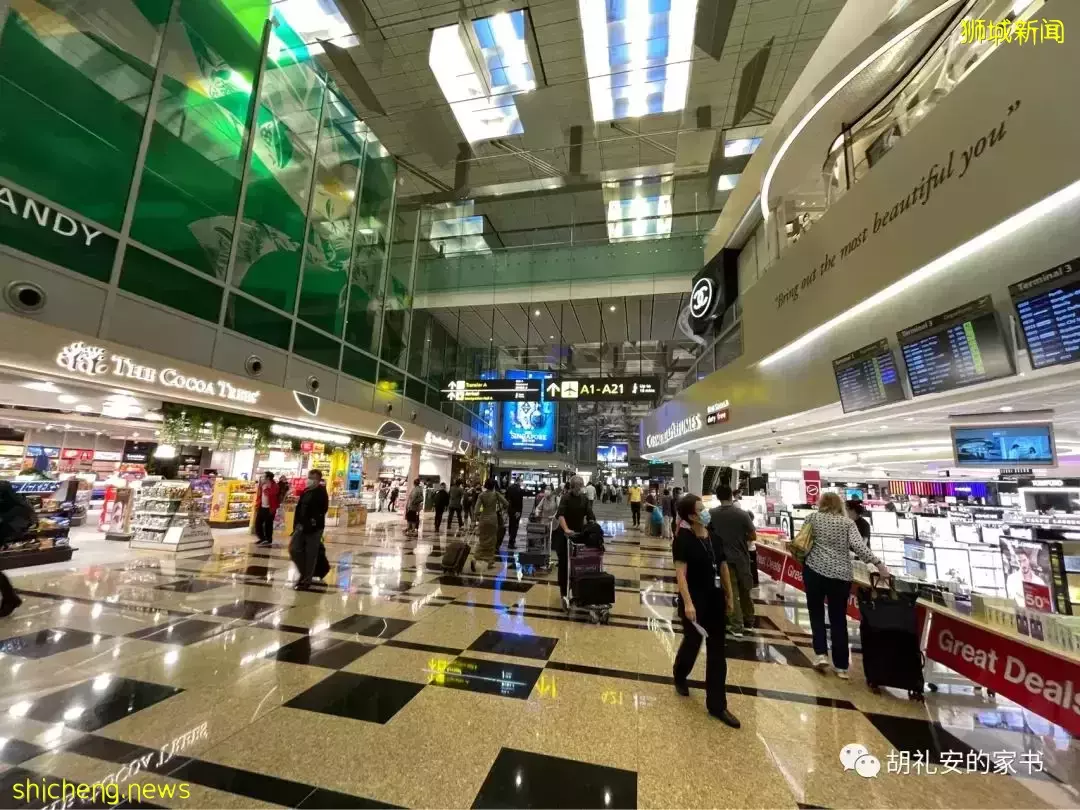 全過程記錄!4月4日從新加坡飛往封城中的上海,入境隔離多圖