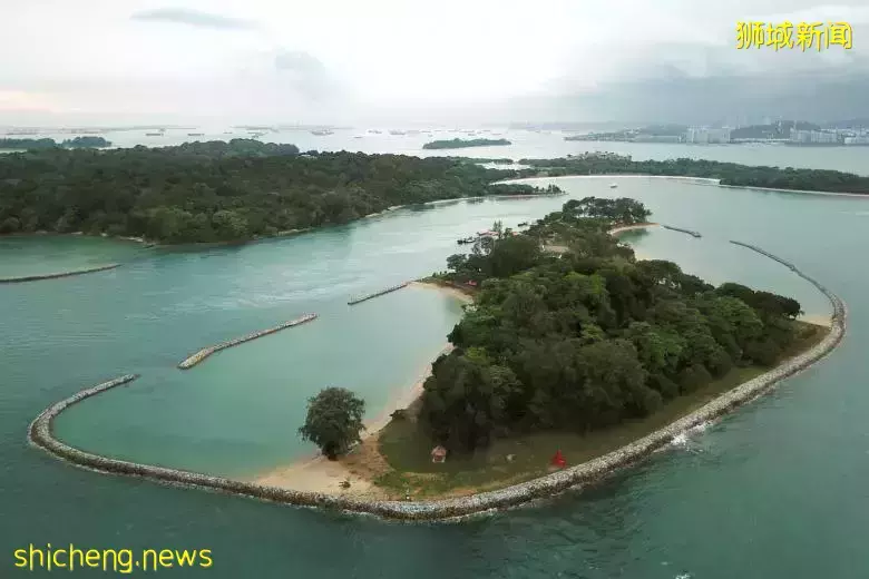 新加坡有人在这里溺水!施救者:"扇他2巴掌、像拖着尸体"