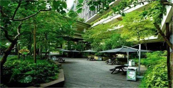 【医疗健康】“花园中的医院,医院中的花园”——新加坡邱德拔医院