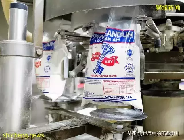 金龍魚、凱德集團竟然是新加坡公司?新加坡還有哪些産品在中國