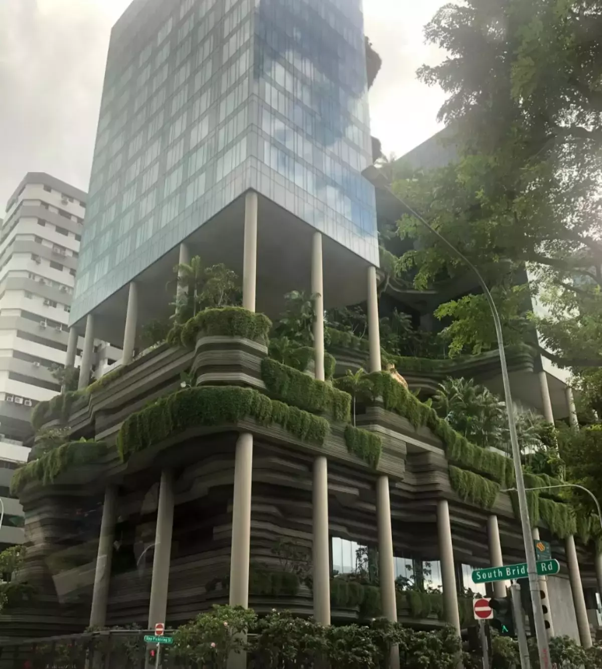 巩俐是新加坡籍的?新加坡还有哪些冷知识,网友:真羡慕