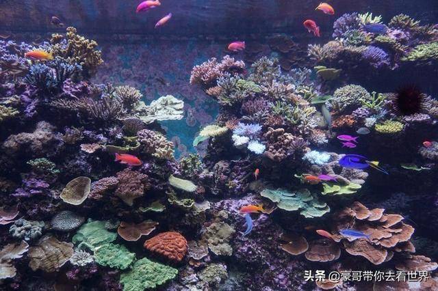 新加坡不枉此行的10大看點（中）分三集介紹