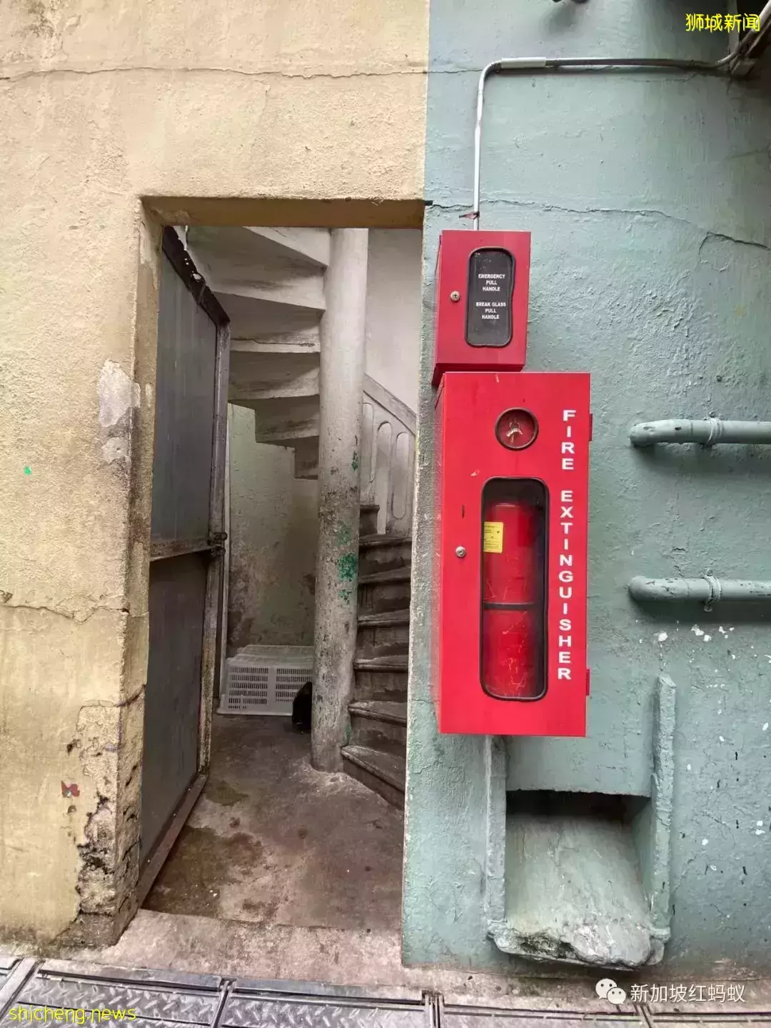 新加坡小印度獵奇:形形色色的人、食物和意外的風景