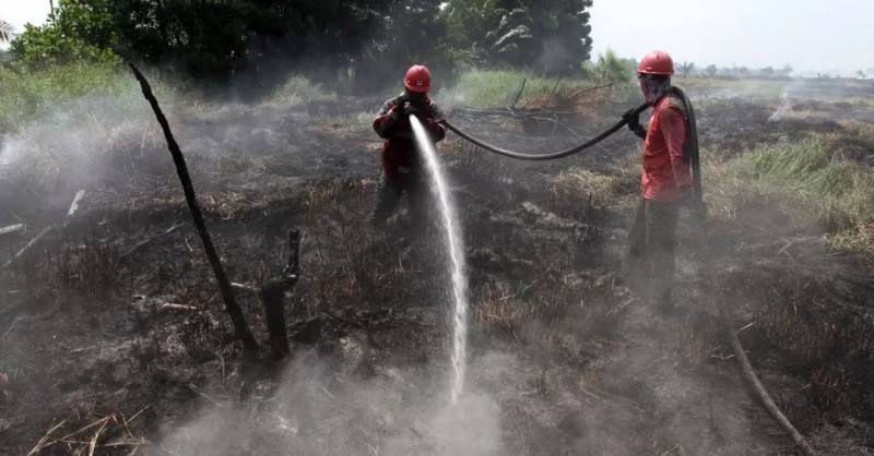 印尼烟霾情况继续恶化，已抓捕185人