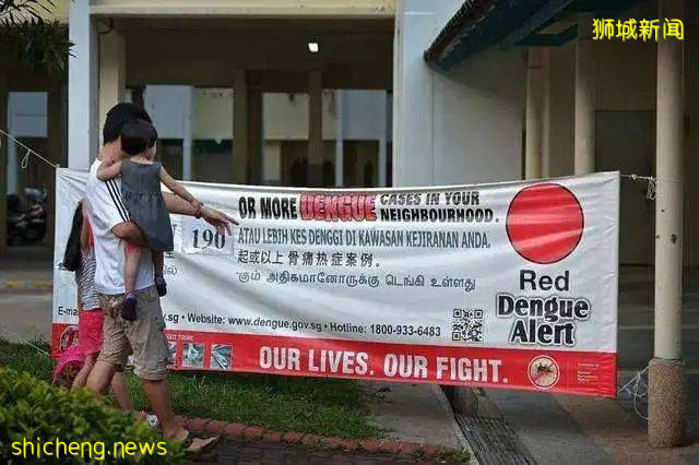 近萬人感染！新加坡隱藏殺手骨痛熱症，或將面臨大暴發!