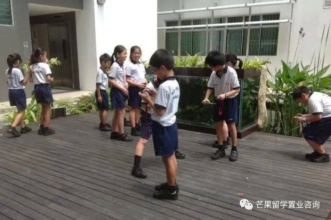 新加坡教育之政府学校《2》