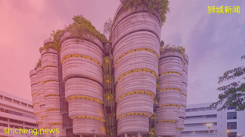 申請季來臨，南洋理工大學這些項目已開放申請