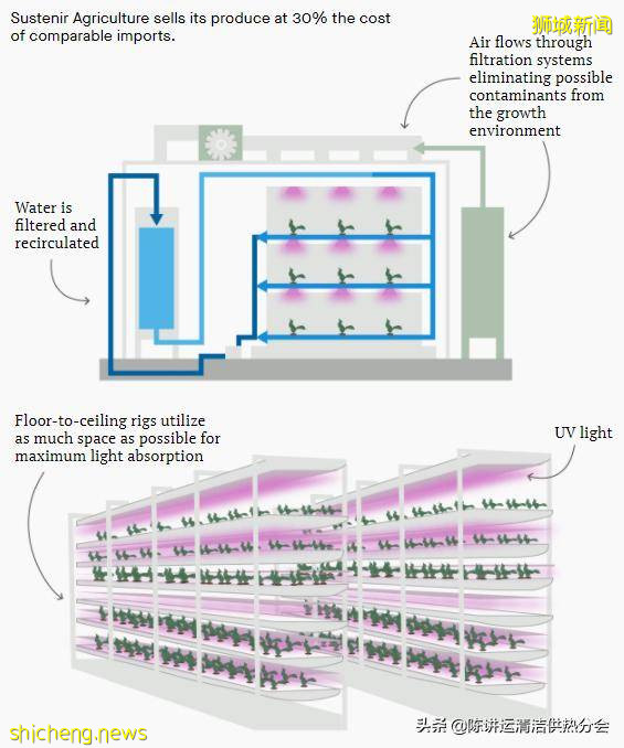 新加坡城市农场改善粮食安全的 3 种方式