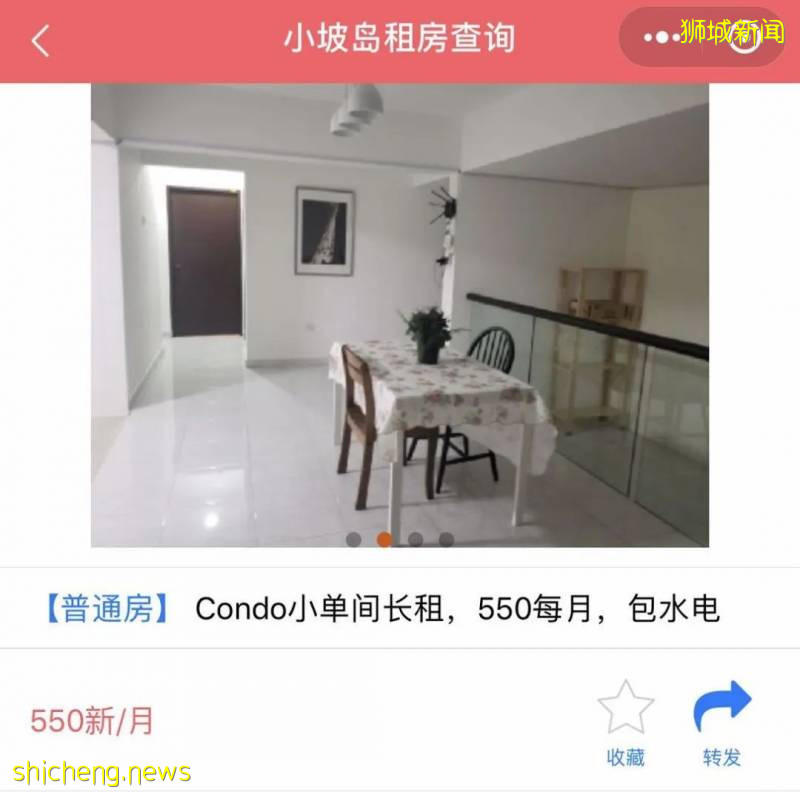 風波之後,新加坡香港留學再分析!