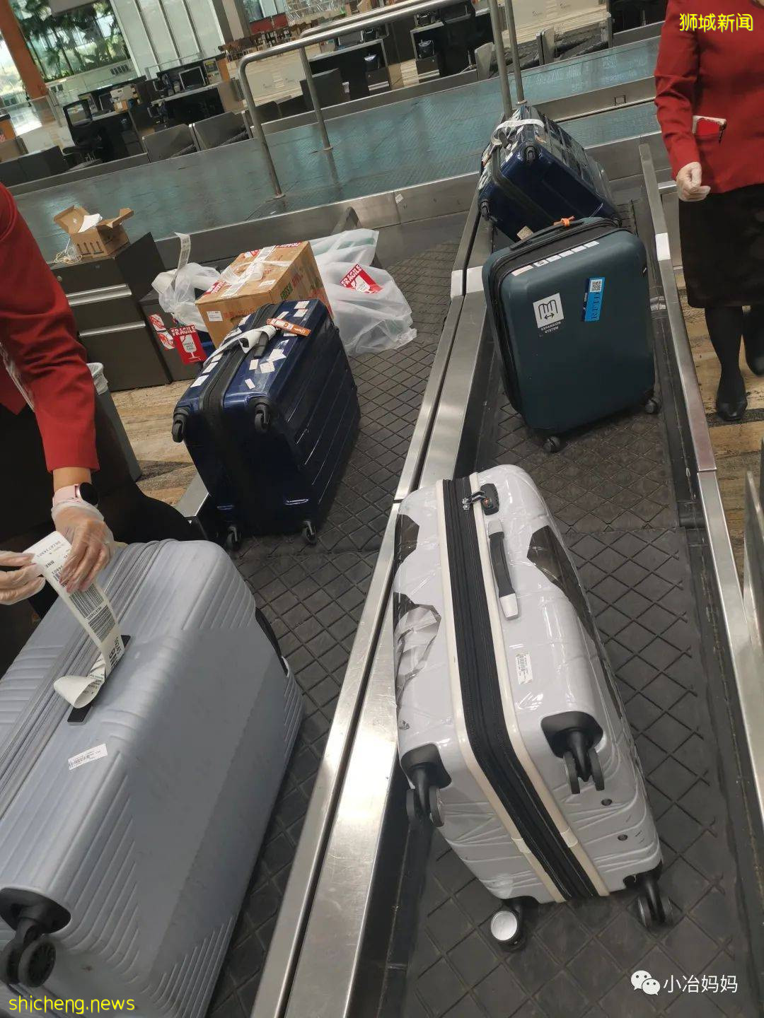 結束11年新加坡的生活!我懷孕帶著5歲的娃回了中國又移民澳洲!這瘋狂又神奇的旅程